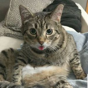 Meet your Posher, Danny